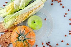 Ripe pumpkins, apple and corn cobs on a gray background with a maple leaf