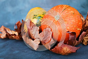 Ripe pumpkins and autumn maple leaves on blue background. Autumn harvest.