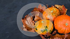 Ripe pumpkins and autumn maple leaves on dark background.