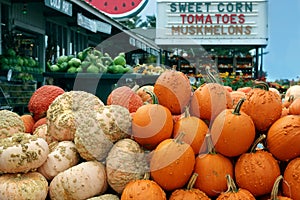 Ripe Pumpkins in a market. Halloween