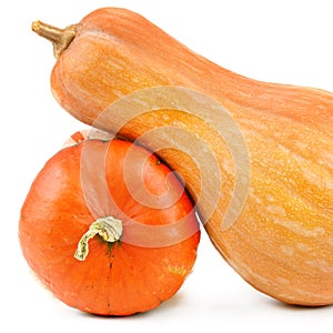 Ripe pumpkins on white background