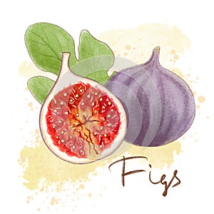 Ripe purple figs, leaf isolated. Fresh fruit icon whole and halved. Delisious food, vitamins, healthe lifestyle