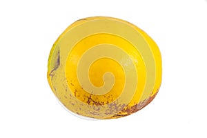 Ripe quinces isolated on white