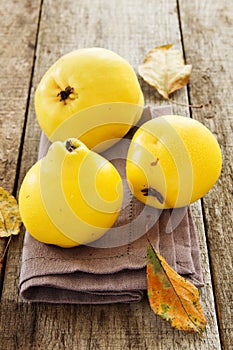 Ripe quinces