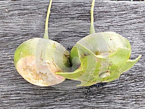 The ripe rambai fruit file has fallen from the tree, right?