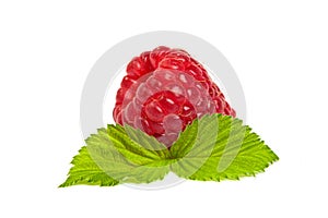 Ripe rasberry with green leaf isolated over white. Close up macro shot