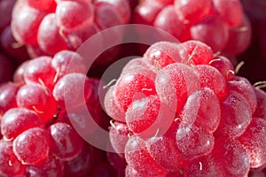 Ripe raspberies