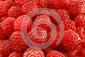 Ripe raspberries