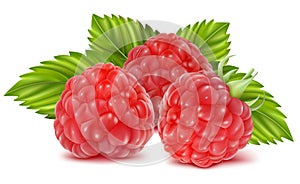 Ripe raspberries photo