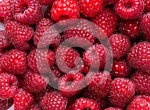 Ripe raspberries background. Fresh fruit closeup. Sweet berries