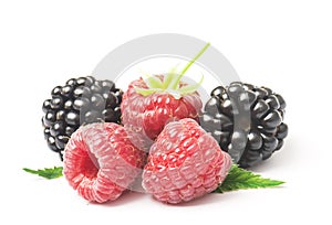 Ripe of raspberries and blackberries with leaves isolated on white background