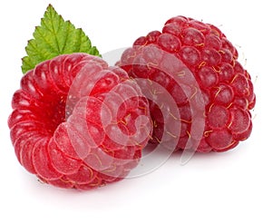 ripe raspberries with green leaf isolated on white background macro