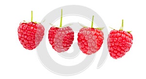 Ripe raspberries isolated on white background close up