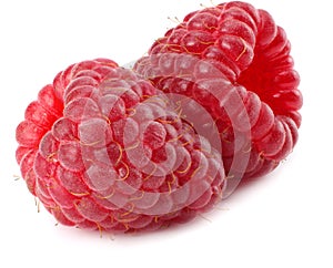 ripe raspberries isolated on white background macro