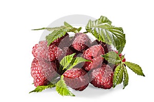 Ripe raspberries with leaves