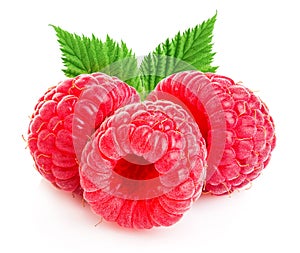 Ripe raspberries with leaves close-up isolated on a white background