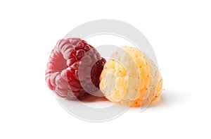 Ripe raspberries of two types, yellow and red, isolated