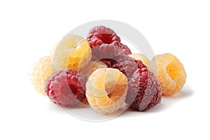 Ripe raspberries of two types, yellow and red, isolated