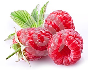 Ripe raspberries.