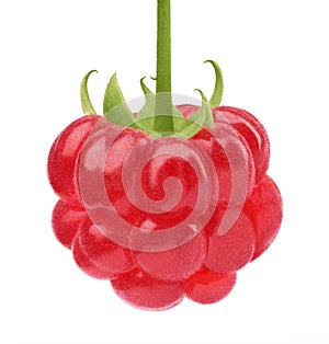 Ripe raspberry