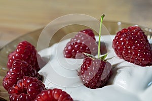 Ripe raspberry berry with a sprig in sour cream on the table