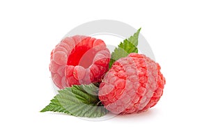 Ripe raspberry closeup