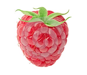 Ripe raspberry isolated