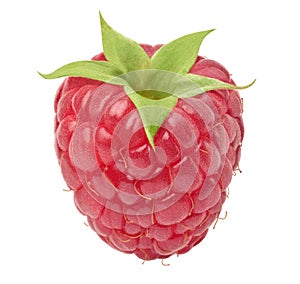 Ripe raspberry isolated