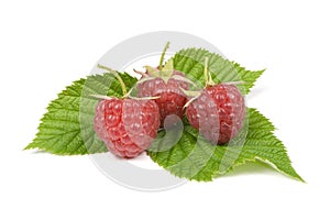 Ripe raspberry isolated