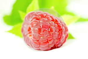 Ripe raspberry with leaf closeup on white background