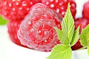 Ripe raspberry with leaf closeup on white background