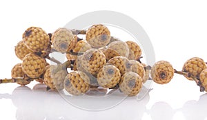 Ripe Rattan fruit isolated on whote background photo