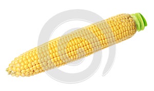 Ripe raw corn cob isolated on white