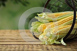 Ripe raw corn cobs in metal basket on wooden table against blurred background, closeup