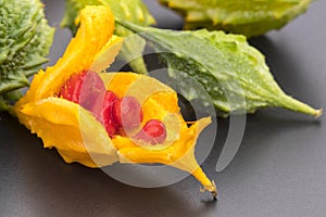 Ripe and raw Wild Bitter Gourd on black plate