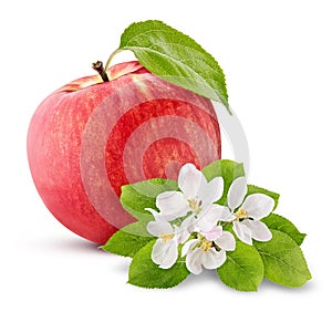 Ripe red apple with a green leaf isolated on white
