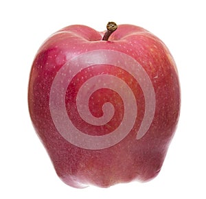 Ripe red apple isolated on the white background.