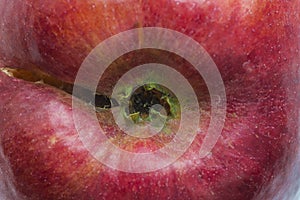 Ripe red apple with peduncle