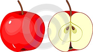 Ripe red apple, whole and in longitudinal section