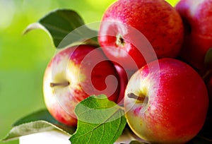 Ripe red apples on table