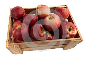 ripe red apples in wooden box isolated, top view