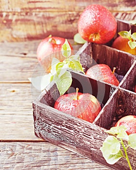 Ripe red apples on wooden box on a rustic table, selective focus