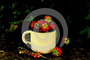 Ripe red black currant, strawberry on wooden table background outdoors garden. Dark photo