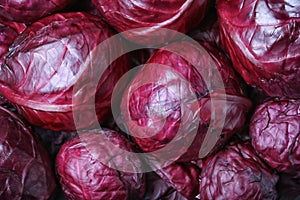 Ripe red cabbage