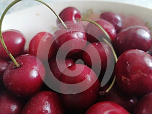 Ripe red cherries in bowl with waterdrops