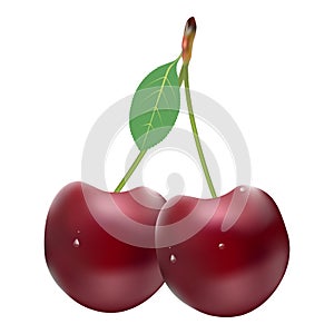 Ripe Red Cherries. Twin Berries With A Leaf Isolated On A White Background.