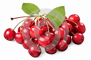 Ripe red cherry branch isolated on white background - fresh juicy fruit for sale