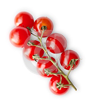 Ripe red cherry tomatoes branch isolated on white background