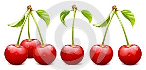 Ripe red cherry vector illustration