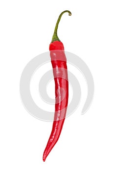 Ripe red chili peppers